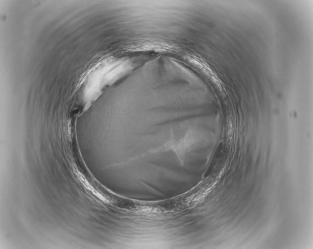 X0000087630585200705181502