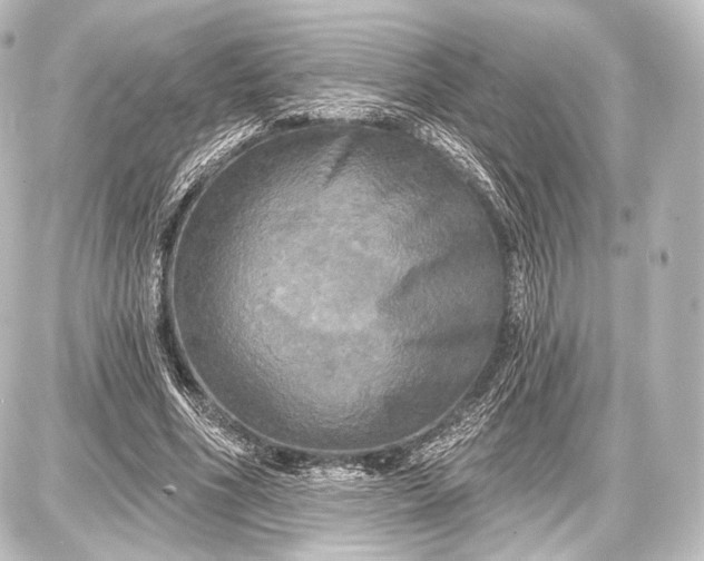 X0000087630586200705181502