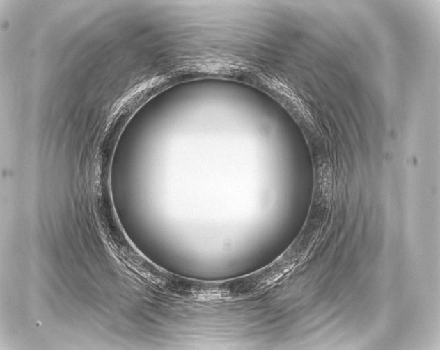 X0000087630587200705181502