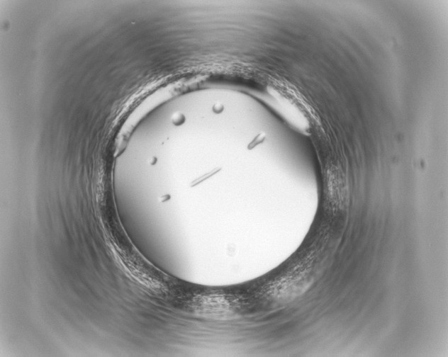 X0000087630588200705181502