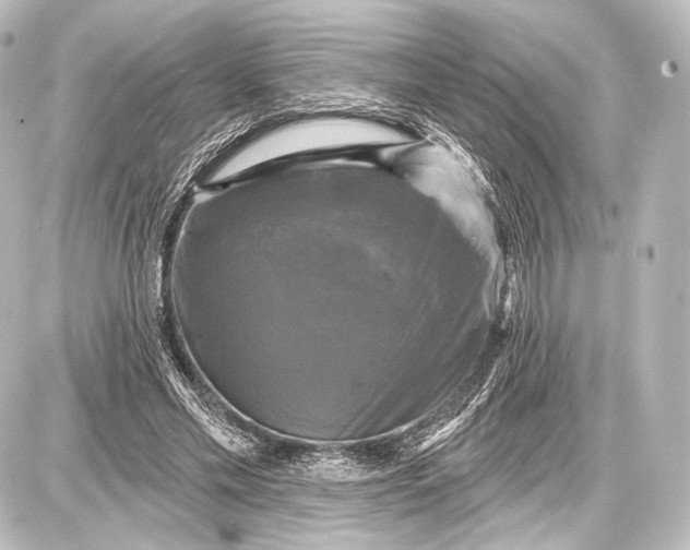 X0000087630589200705181502