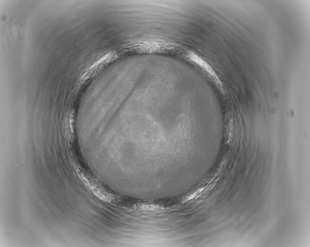 X0000087630590200705181502