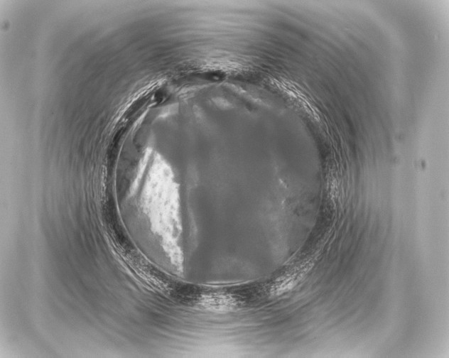 X0000087630591200705181502