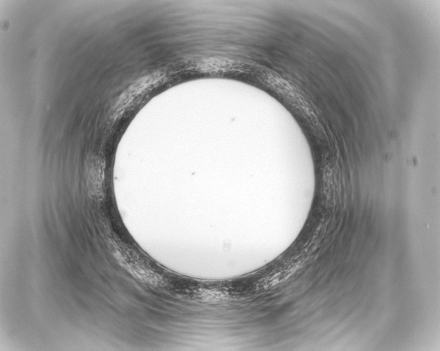 X0000087630592200705181502