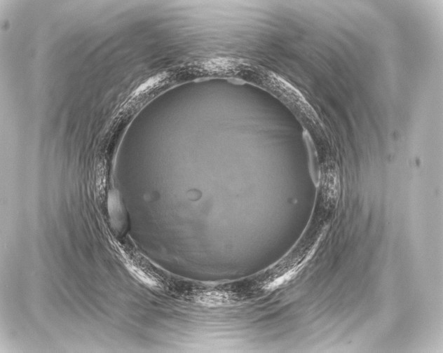 X0000087630593200705181502