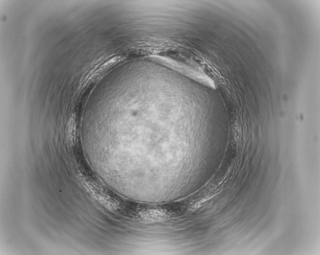 X0000087630594200705181502