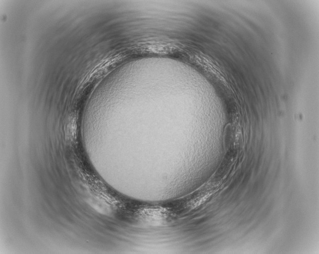 X0000087630595200705181502