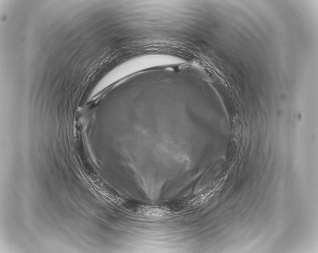 X0000087630597200705181502