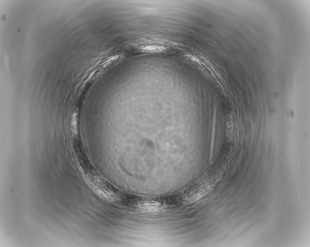 X0000087630598200705181502