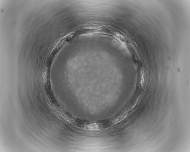 X0000087630600200705181502