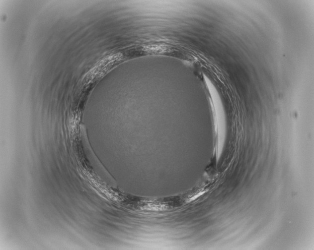 X0000087630601200705181502