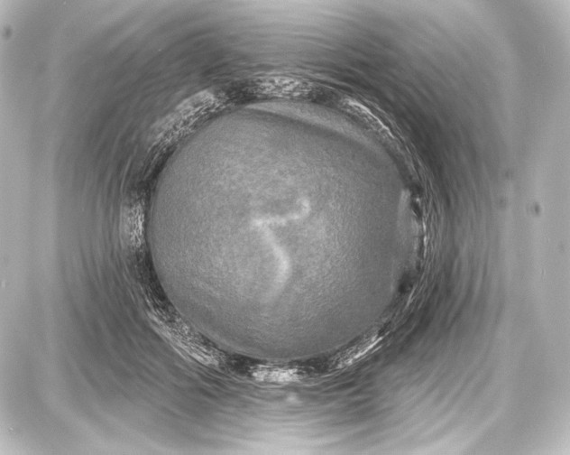 X0000087630602200705181502