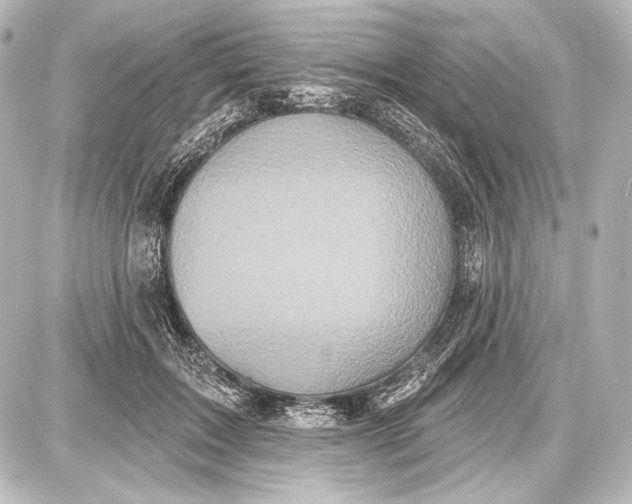 X0000087630603200705181502