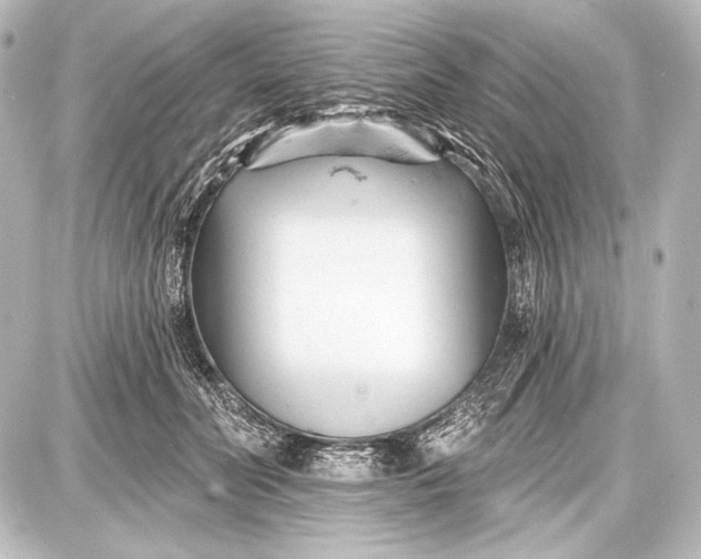 X0000087630606200705181502