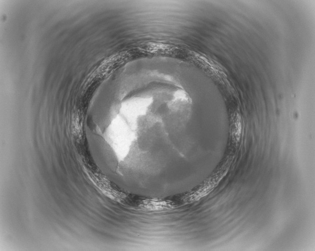 X0000087630607200705181502