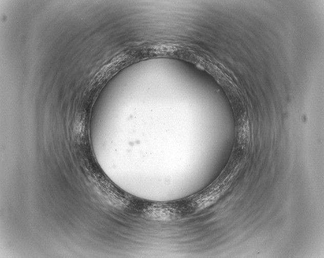 X0000087630608200705181502