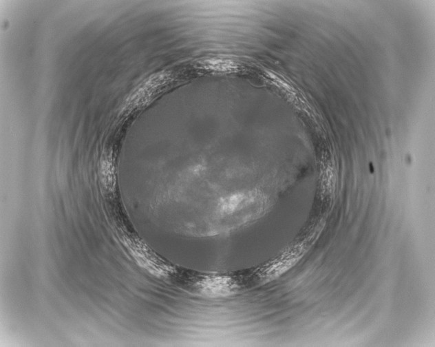 X0000087630609200705181502