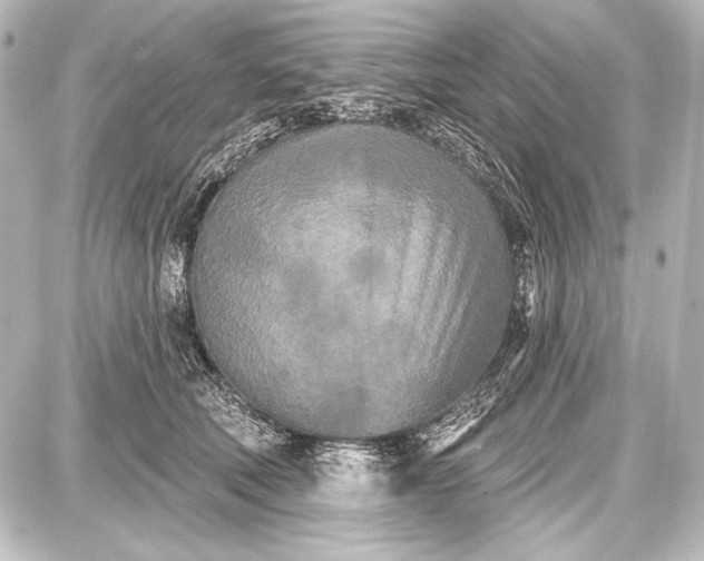 X0000087630610200705181502