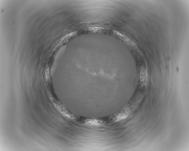 X0000087630611200705181502