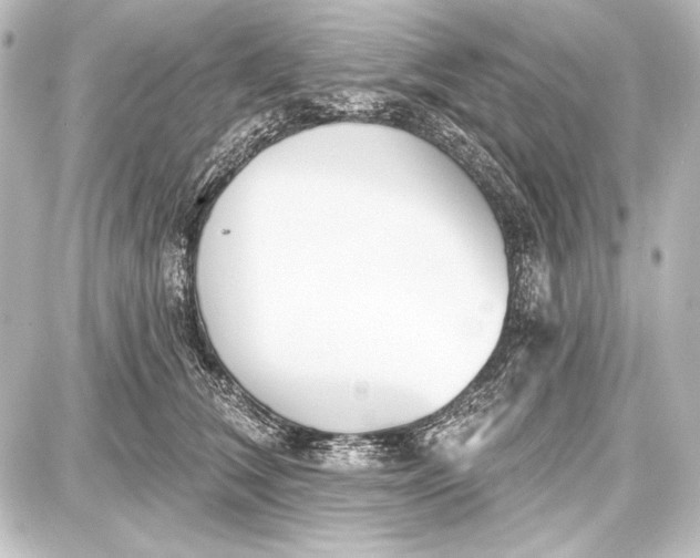 X0000087630612200705181502