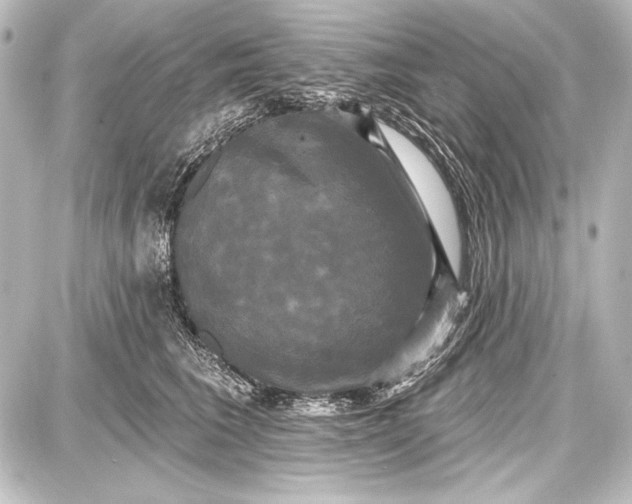 X0000087630613200705181502