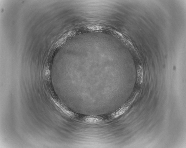 X0000087630614200705181502