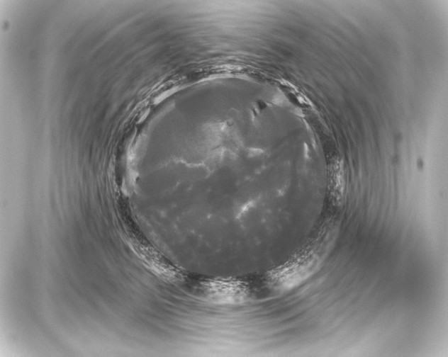 X0000087630615200705181502