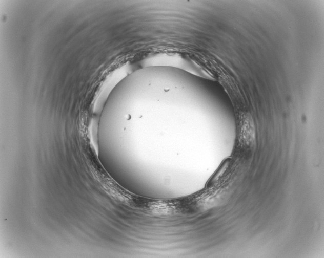 X0000087630616200705181502