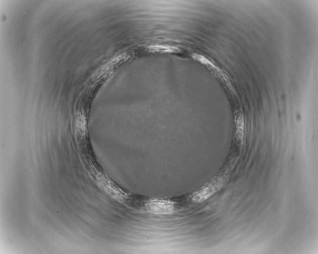 X0000087630617200705181502