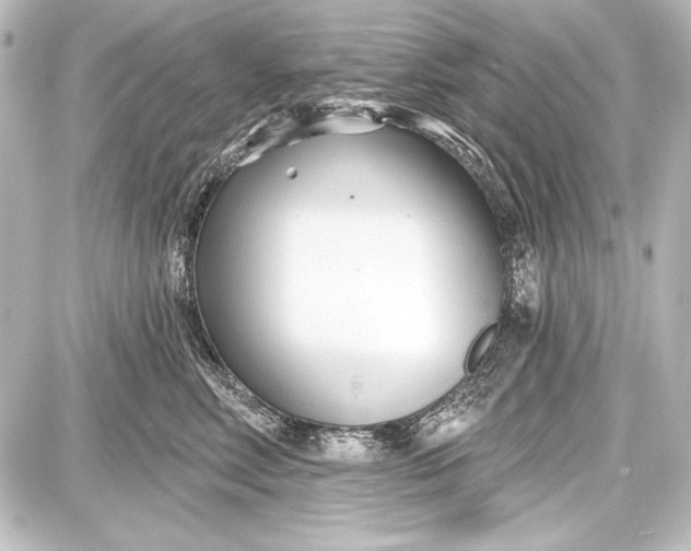 X0000087630618200705181502