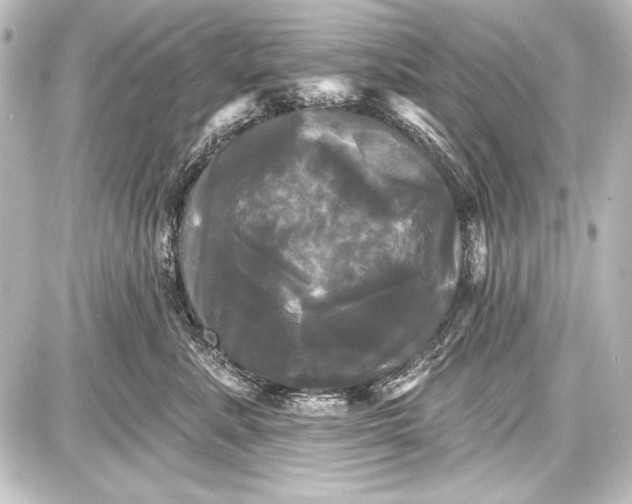 X0000087630619200705181502