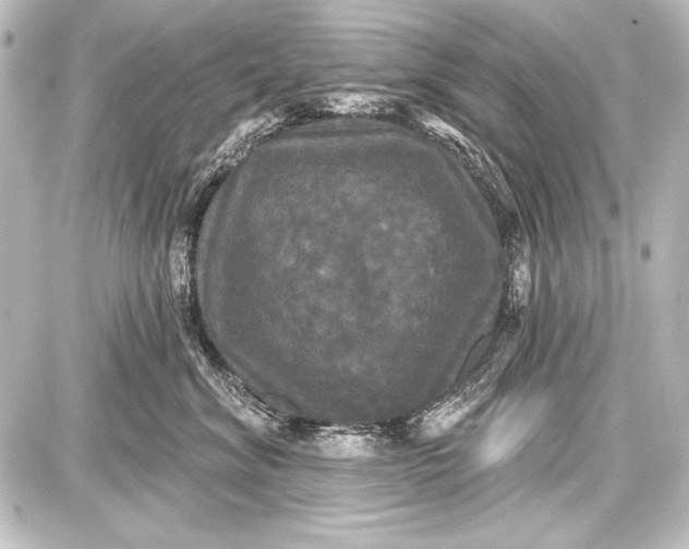 X0000087630620200705181502