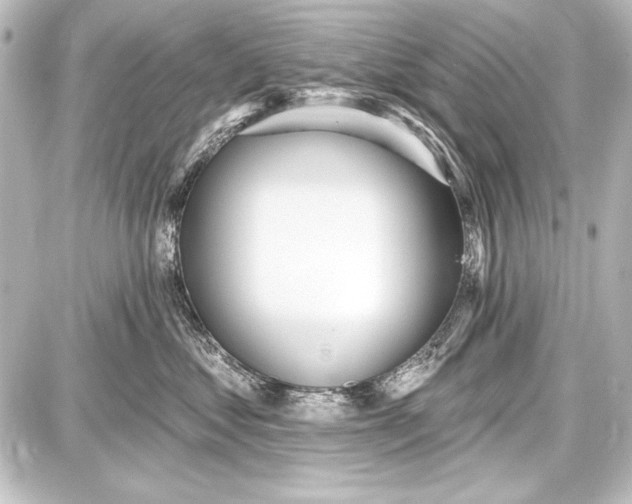 X0000087630621200705181502