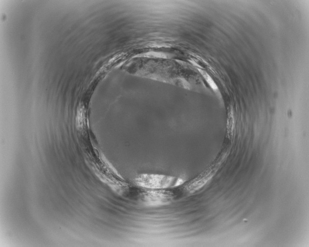 X0000087630623200705181502