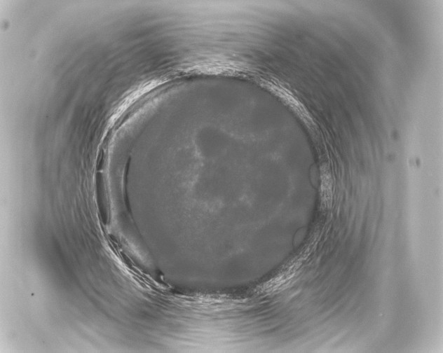 X0000087630626200705181501