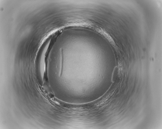 X0000087630628200705181501