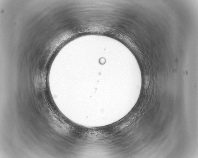 X0000087630632200705181501