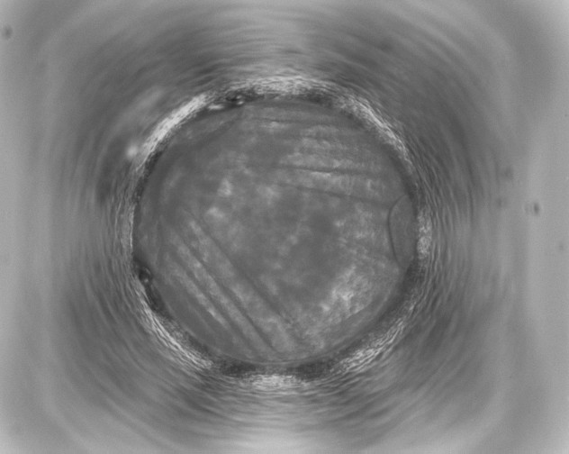 X0000087630637200705181501