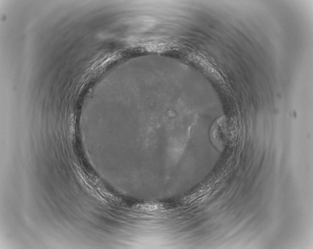 X0000087630639200705181501