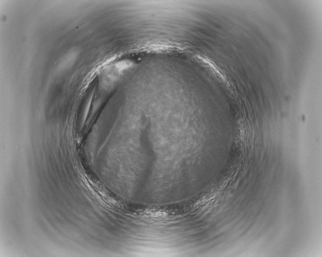 X0000087630640200705181501