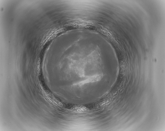 X0000087630642200705181501