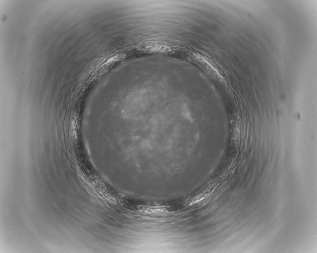 X0000087630643200705181501