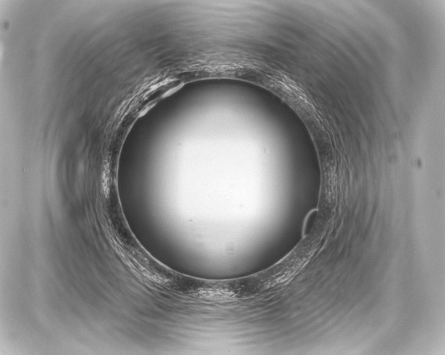 X0000087630644200705181501