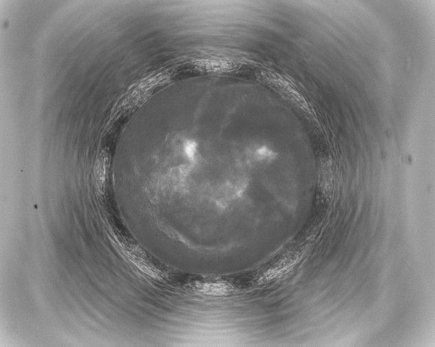 X0000087630645200705181501