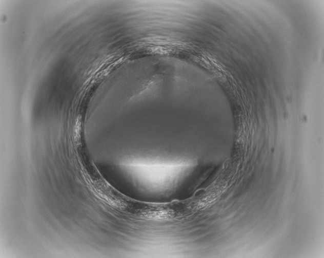 X0000087630646200705181501