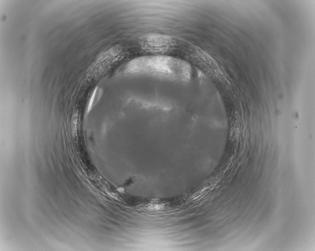 X0000087630647200705181501