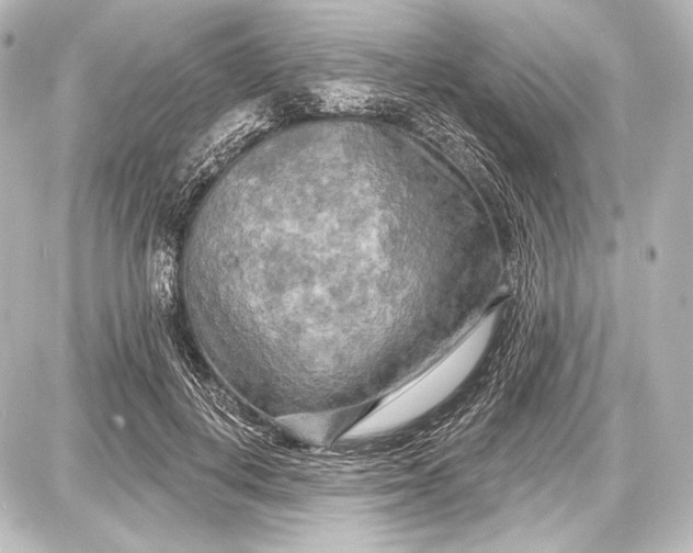 X0000087630648200705181501