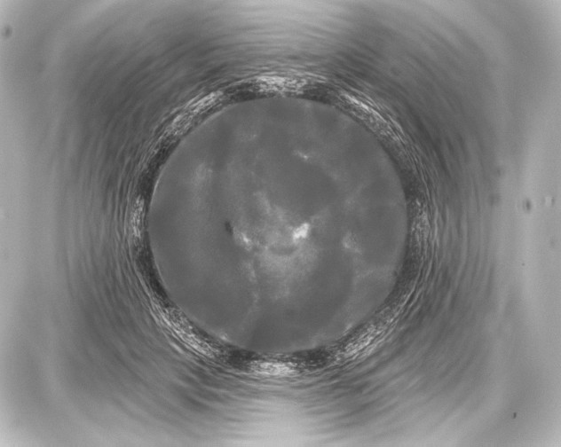 X0000087630649200705181501