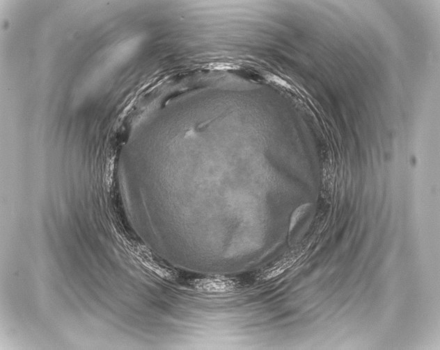 X0000087630652200705181501