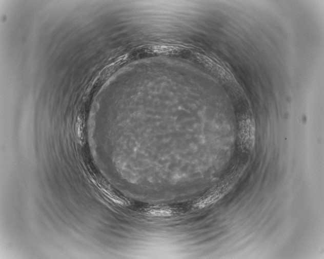 X0000087630653200705181501